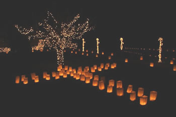 luminary cross